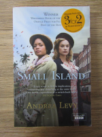 Andrea Levy - Small island