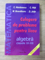 C. Nastasescu, C. Nita, Diana Joita - Matematica, algebra clasele IX-XII. Culegere de probleme pentru liveu