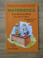 Anticariat: Dana Radu, Rozica Stefan, Adrian Ciupitu - Matematica. Exercitii si probleme clasa a VII-a, semetrul al II-lea 2005-2006