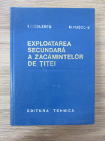 Anticariat: Ion Niculescu - Exploatarea secundara a zacamintelor de titei