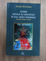 Anticariat: Stelian Brezeanu - Istorie sociala si lingvistica in evul mediu romanesc