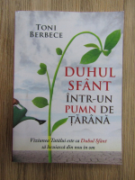 Anticariat: Toni Berbece - Duhul Sfant intr-un pumn de tarana