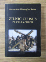 Anticariat: Alexandru Gheorghe Netea - Zilnic cu Isus pe calea crucii