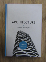 Andrew Ballantyne - Architecture