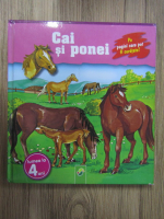 Cai si ponei 