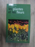 Francesco Bianchini - Les plantes et les fleurs