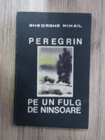 Gheorghe Mihail - Peregrin pe un fulg de ninsoare