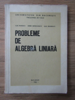 Ilie Popescu - Probleme de algebra liniara