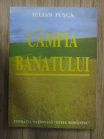 Iulian Pusca - Campia Banatului