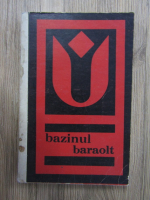 Anticariat: Kisgyorgy Zoltan - Bazinul Baraolt. Ghid turistic