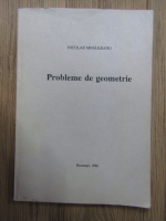 Nicolae Mihaileanu - Probleme de geometrie