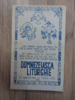 Anticariat: Nicolae V. Gogol - Dumnezeiasca Liturghie (1993)