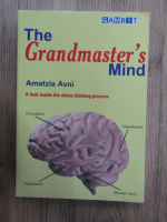 Amatzia Avni - The grandmaster's mind