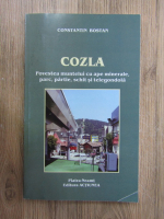 Anticariat: Constantin Bostan - Cozla, povestea muntelui cu ape minerale, parc, partie, schit si telegondola