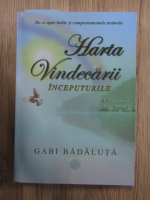 Gabi Badaluta - Harta vindecarii. Inceputurile