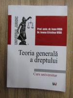 Ioan Vida - Teoria generala a dreptului