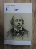 Michel Winock - Flaubert