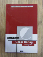 Mircea A. Diaconu - Cezar Baltag