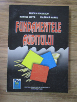 Mircea Boulescu - Fundamentele auditului