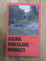 Sulina, Herculane, Moinesti. Ghid jurnalistic prin orase uitate