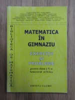 Virgiliu Schneider - Matematica in gimnaziu. Exercitii si probleme pentru clasa a V-a, semestrul al II-lea