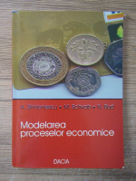 A. Simionescu - Modelarea proceselor economice