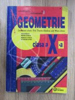 Dumitru Savulescu - Geometrie clasa a X a