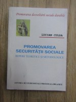 Lucian Culda - Promovarea securitatii sociale. Repere teoretice si metodologice