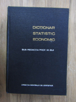 Mircea Biji - Dictionar statistic economic