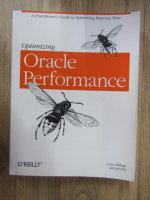 Optimizing Oracle performance