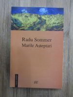 Radu Sommer - Marile asteptari