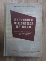 Anticariat: Repararea mijloacelor de baza. Organizare, planificare, executare, norme, legislatie