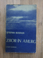 Stefan Bossun - Zbor in amurg