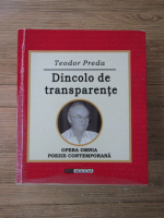 Anticariat: Teodor Preda - Dincolo de transparente