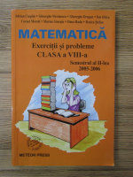 Adrian Ciupitu - Matematica. Exercitii si probleme. Clasa a VIII-a, semestrul al II-lea