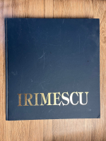 Anticariat: Alexandru Cebuc - Irimescu, 100 de ani