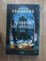 Antoine Senanque - Crucea de cenusa