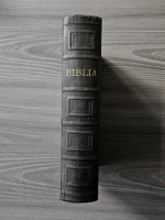 Biblia Sfanta Scriptura a Vechiului si Noului Testament (1910)