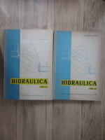 Ecaterina Blidaru - Hidraulica (2 volume)