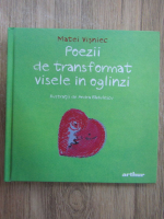 Matei Visniec - Poezii de trasformat visele in oglinzi