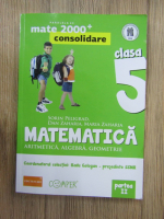 Sorin Peligrad - Matematica. Clasa a V-a, partea a II-a