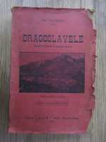 Ioan Rautescu - Dragoslavele. Monografie premiata de Academia Romana. Vederea generala a satului