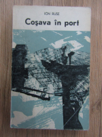 Anticariat: Ion Ruse - Cosava in port