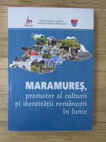 Anticariat: Maramures, promotor al culturii si identitatii romanesti in lume