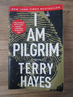 Terry Hayes - I am pilgrim 