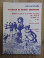 Adrian Istrate - Dictionar de sensuri secundare. Sensuri figurate, deturnate, ascunse ori ignorate in franceza de azi