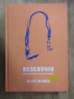 Alice Maher - Reservoir. Sketchbooks and selected works