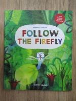 Bernardo Carvalho - Follow the firefly