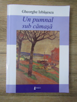 Anticariat: Gheorghe Izbasescu - Un pumnal sub camasa