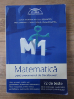 Marian Andronache - Matematica. Pentru examenul de bacalaureat. M1